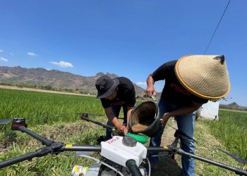 INDICO: Inovasi Digital untuk Ketahanan Pangan Indonesia yang Berkelanjutan