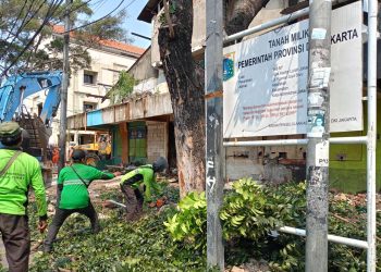 Pertanian Inovatif di Jantung Kota: Membuka Peluang Baru di Johar Baru