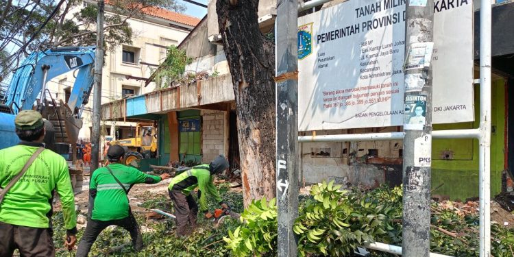 Pertanian Inovatif di Jantung Kota: Membuka Peluang Baru di Johar Baru