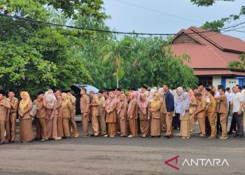 Jumlah Fantastis Formasi CASN 2024: Peluang Emas Meraih Karir Impian