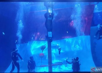 Ekspedisi Akuarium yang Mendebarkan: Mendaki Sarang Gurita