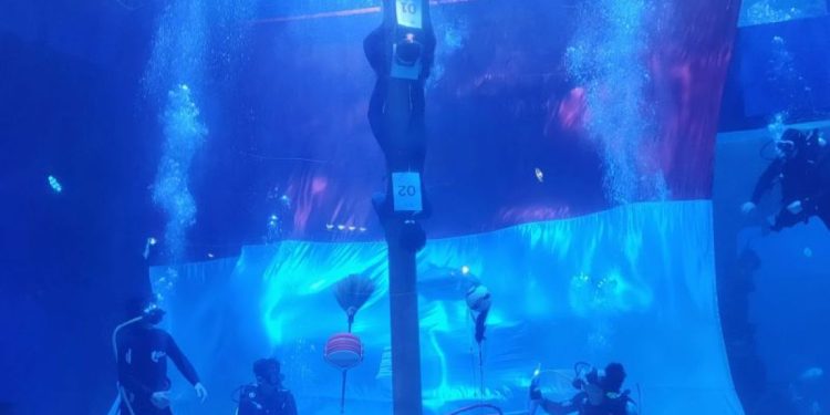 Ekspedisi Akuarium yang Mendebarkan: Mendaki Sarang Gurita