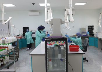 Sibolink: Kunci Modernisasi Pelayanan Publik yang Efektif di Ibu Kota