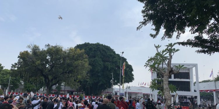Merpati Putih, Simbol Perdamaian: Pelepasan Spektakuler di Istana Merdeka