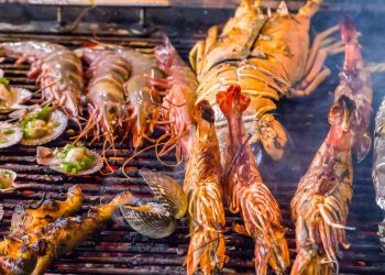 Ilustrasi Makanan Seafood