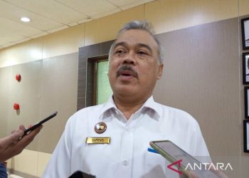 Perpajakan Sulsel Gemilang: Kinerja Mengesankan Lampaui Target Semester Pertama 2024