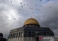 Amarah Eropa Membara: Israel Kecam Masjid Al-Aqsa