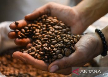 Kekayaan Biji Kopi Indonesia: Variasi yang Menakjubkan