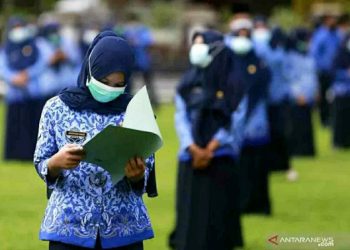 Tunjangan Kinerja PNS 2024: Kenaikan yang Dinanti