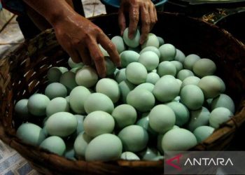 Membongkar Rahasia Telur Asin Sempurna: Panduan Mudah untuk Dibuat di Rumah