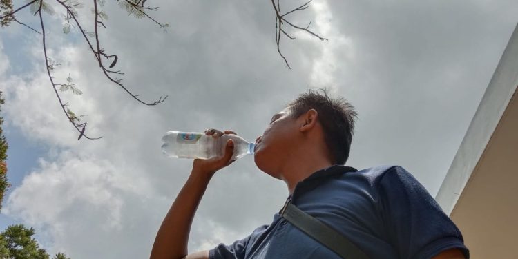 Jadwal Minum Air Putih yang Optimal: Cara Tetap Terhidrasi Seharian