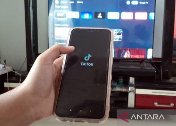 Panduan Utama Penguasaan DM: Rahasia Penggunaan yang Efektif