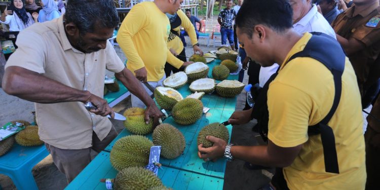 Harta Karun Durian Indonesia: Menuju Ekspor Triliunan ke Tiongkok
