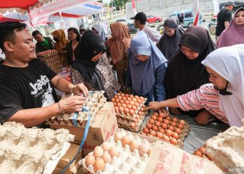 Kenaikan Harga Telur Melambung: Hati-hati, Dompetmu Bisa Menjerit!