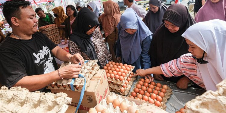 Kenaikan Harga Telur Melambung: Hati-hati, Dompetmu Bisa Menjerit!