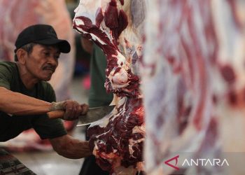 Zat Besi Heme: Risiko Tersembunyi yang Memicu Diabetes Tipe 2