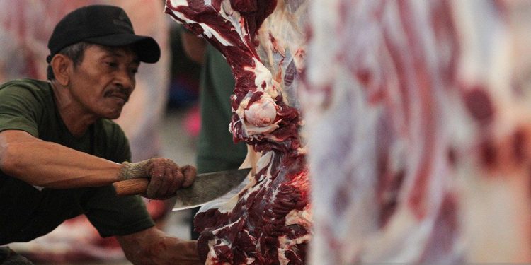 Zat Besi Heme: Risiko Tersembunyi yang Memicu Diabetes Tipe 2