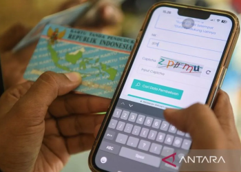 Mudahkan Urusanmu! Intip 4 Cara Praktis Cek NIK e-KTP Tanpa Repot ke Dukcapil