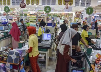 Usulan Apindo: Solusi Efektif untuk Mitigasi Dampak Kenaikan PPN 12%