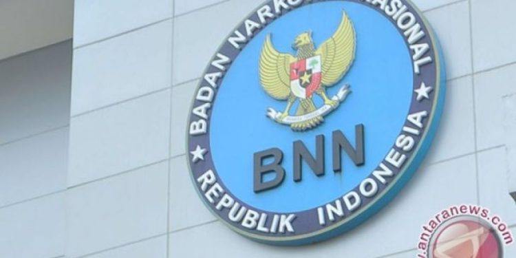 CPNS BNN 2024: Peluang Karier di Badan Narkotika Nasional dengan Formasi Berlimpah