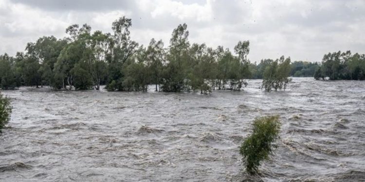 Musibah Banjir Gempur Korea Utara, Hasil Panen Terancam