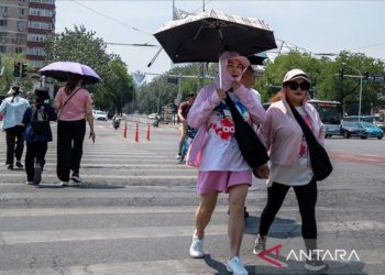 Gelombang Panas Maut Renggut Nyawa di Korea Selatan