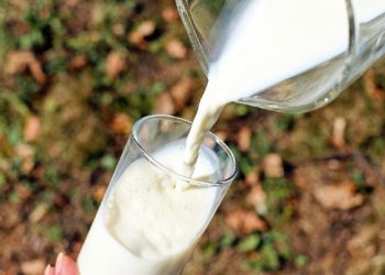 Konsumsi Susu Salah Waktu Picu Risiko Kesehatan