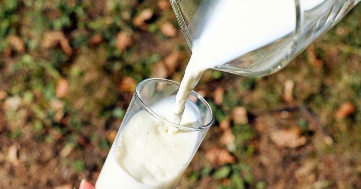 Konsumsi Susu Salah Waktu Picu Risiko Kesehatan