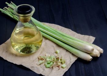 Minuman Sehat nan Menyegarkan: Teh Serai, Resep dan Manfaatnya yang Luar Biasa