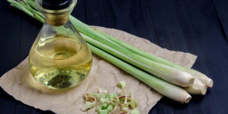 Minuman Sehat nan Menyegarkan: Teh Serai, Resep dan Manfaatnya yang Luar Biasa