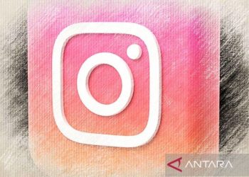 Turki Bebas Blokir Instagram: Kembalinya Kekuasaan Media Sosial