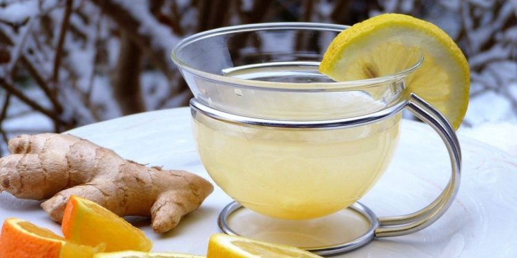 Kesegaran dan Kesehatan dalam 5 Resep Minuman Lemon yang Menggiurkan