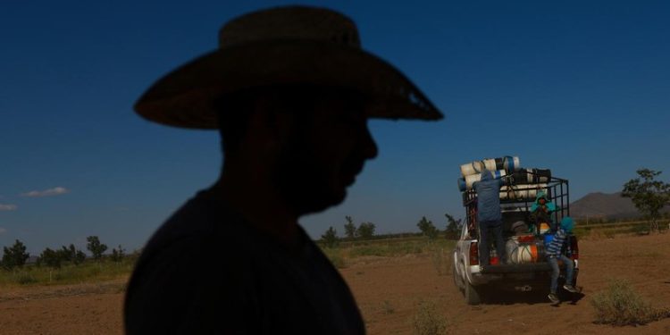 Kekeringan Ekstrem di Meksiko: Kekhawatiran Kemarau Panjang Membayangi