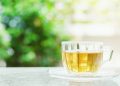 Teh Jepang: Nikmati 10 Pilihan Sempurna untuk Relaksasi dan Pengurangan Stres