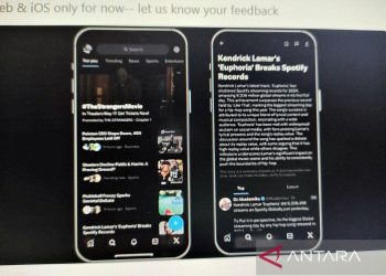 AI xAI: Inovasi Terobosan dalam Gambar Generatif