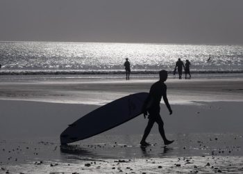 Warga Asing di Bali Beralih Haluan, Kini Jajal Bisnis Sayuran