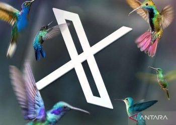 Penggempur Kebebasan Pers: Venezuela Tutup Situs Berita X Selama Sepuluh Hari