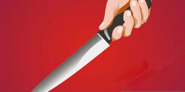 Polisi Bekuk Pelaku Pengeboman Tragis yang Menargetkan Petugas Binmas