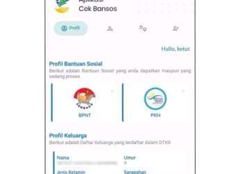 Pasang dan Daftarkan Aplikasi Cek Bansos: Panduan Langkah demi Langkah untuk Kemudahan Anda