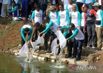 Terungkap! Surga Tersembunyi di Jakarta Selatan: Jelajahi Embung Cantik Nan Mempesona