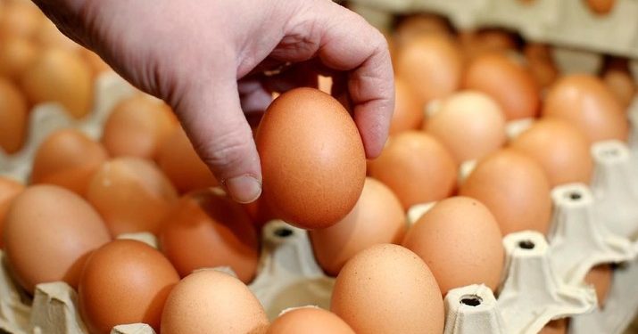 Salmonella Gentayangan: Telur Ayam Terseret Pusaran Misteri