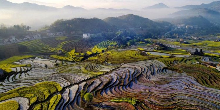 Keajaiban Air Purba: Situs Irigasi China yang Mengubah Sejarah