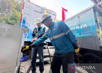 Penyambutan Paus yang Aman dan Lancar di Jakarta: Listrik Berlapis Jadi Kunci