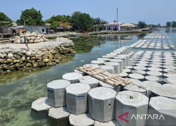 Dana Rp56,1 Miliar Dituangkan untuk Melindungi Kepulauan Seribu dari Abrasi
