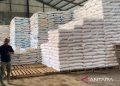 Surga Pupuk Subsidi di Sukabumi, Petani Sumringah!