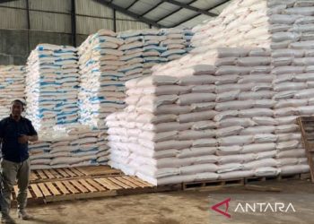 Surga Pupuk Subsidi di Sukabumi, Petani Sumringah!