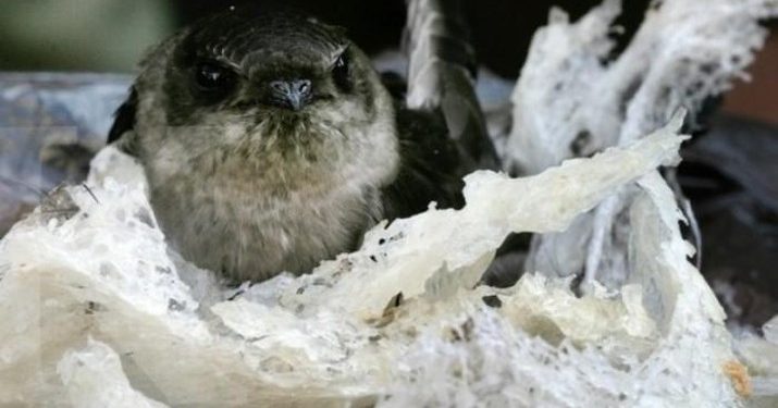 Harta Karun Turunan: Investasi Tanah di Bogor yang Mengubah Kehidupan