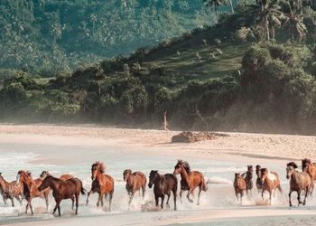 Lokasi Rahasia Terungkap: Dunia Hilang Legendaris Ditemukan di Indonesia