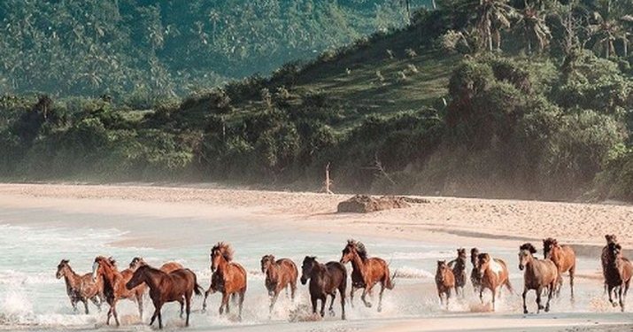 Lokasi Rahasia Terungkap: Dunia Hilang Legendaris Ditemukan di Indonesia