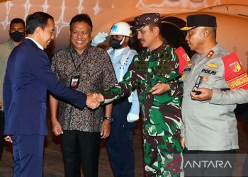 Calon Wakil Gubernur yang Bersinar: Profil Alfred Denny Djoike Tuejeh